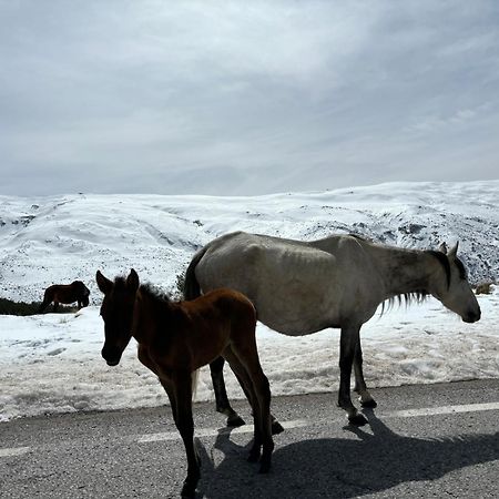Biznaga Nevada Διαμέρισμα Γρανάδα Εξωτερικό φωτογραφία