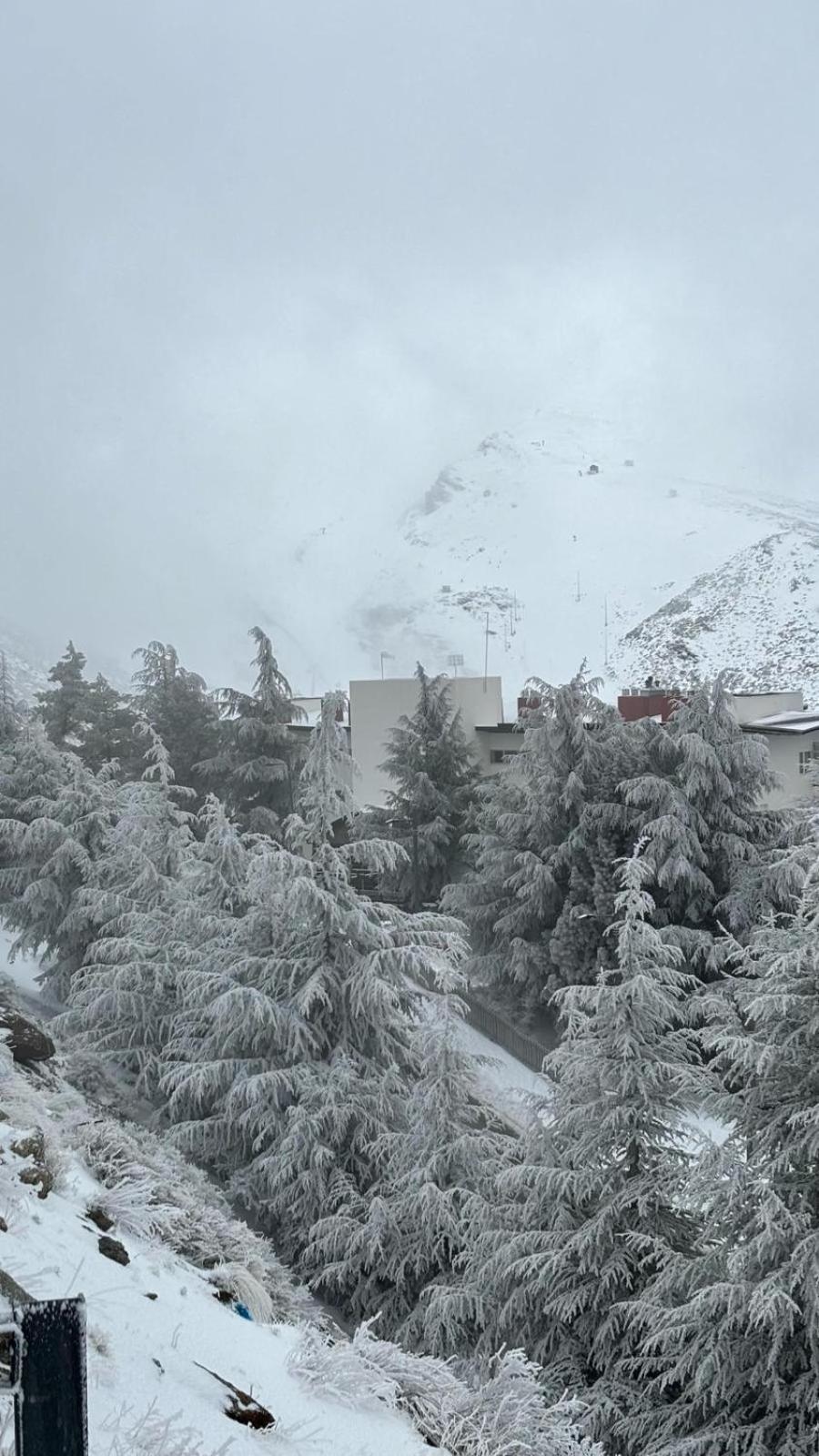 Biznaga Nevada Διαμέρισμα Γρανάδα Εξωτερικό φωτογραφία