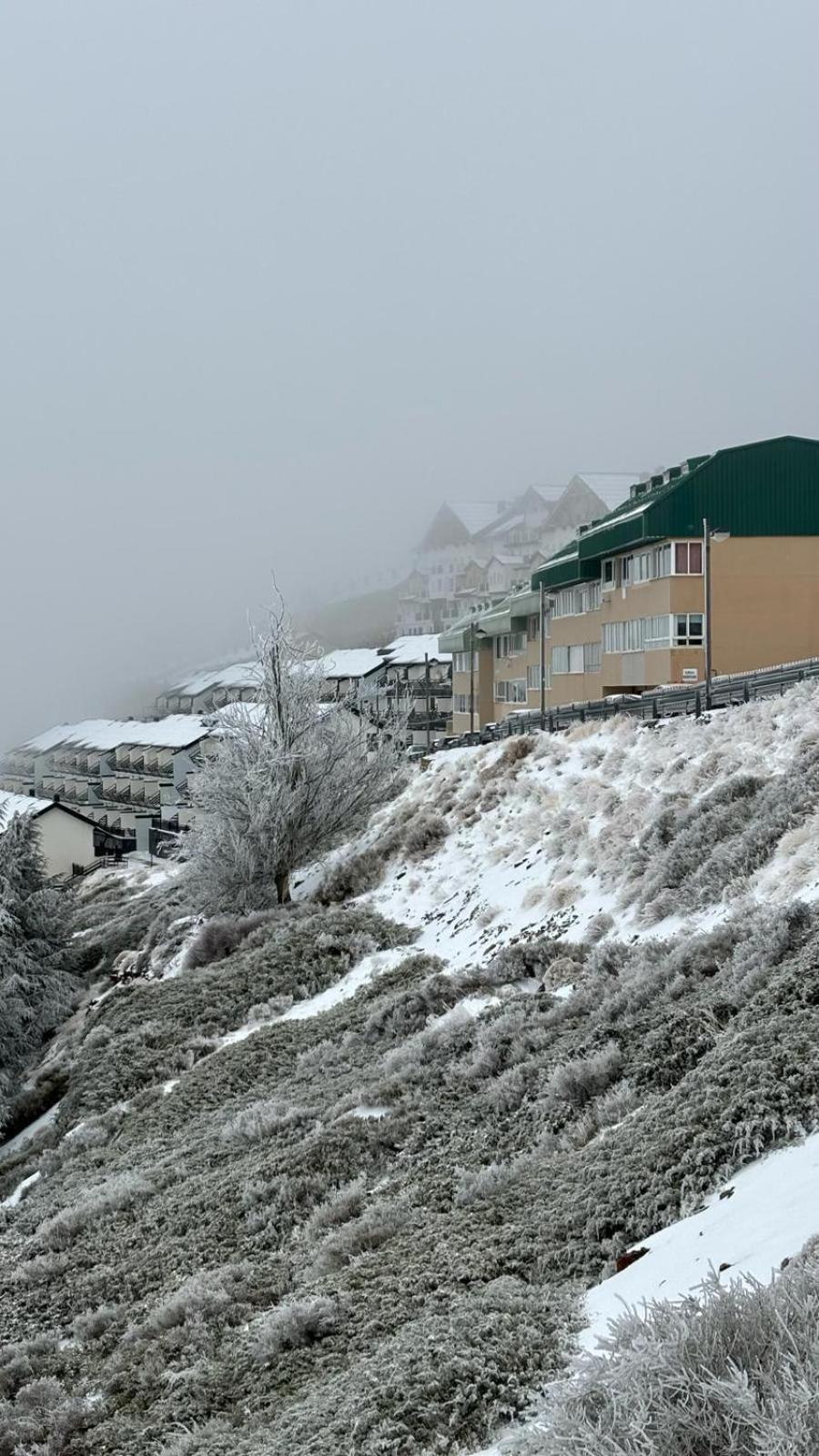 Biznaga Nevada Διαμέρισμα Γρανάδα Εξωτερικό φωτογραφία
