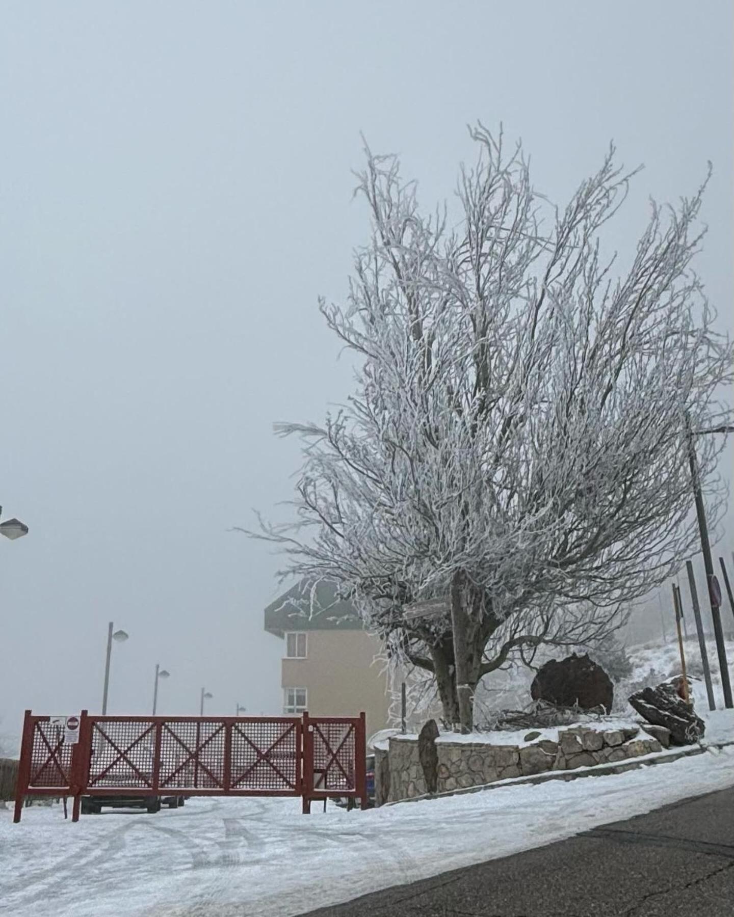 Biznaga Nevada Διαμέρισμα Γρανάδα Εξωτερικό φωτογραφία