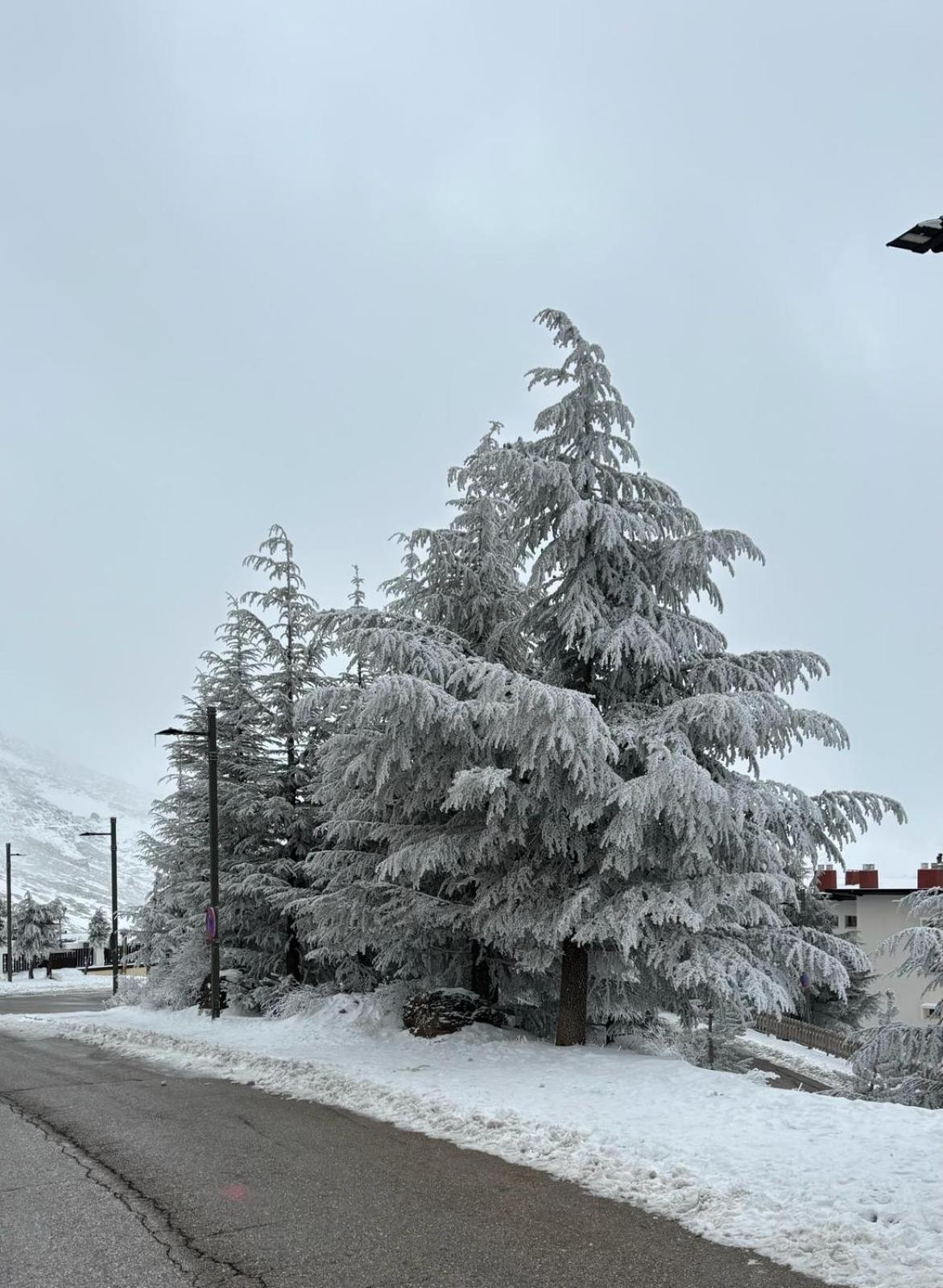 Biznaga Nevada Διαμέρισμα Γρανάδα Εξωτερικό φωτογραφία