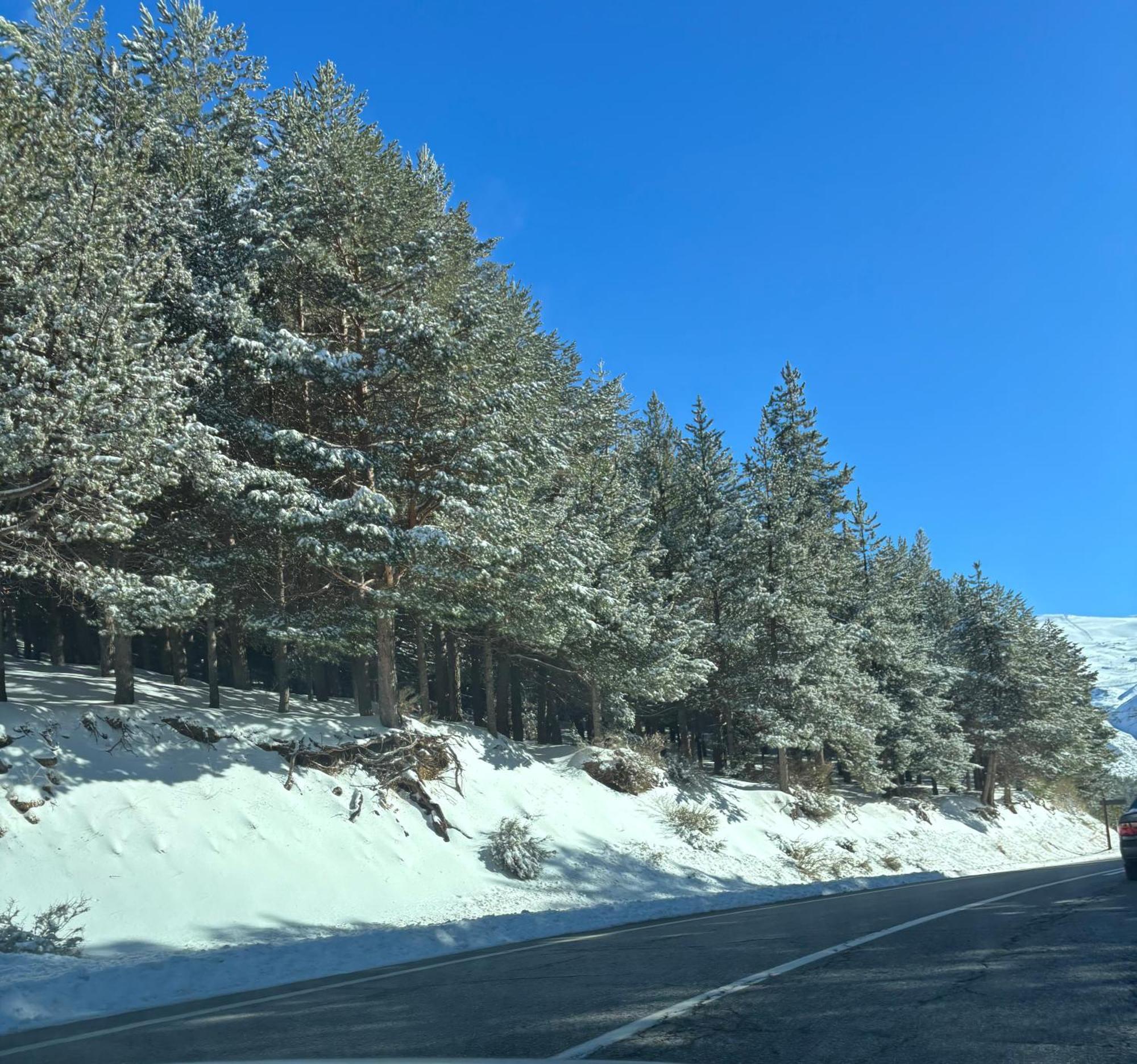 Biznaga Nevada Διαμέρισμα Γρανάδα Εξωτερικό φωτογραφία
